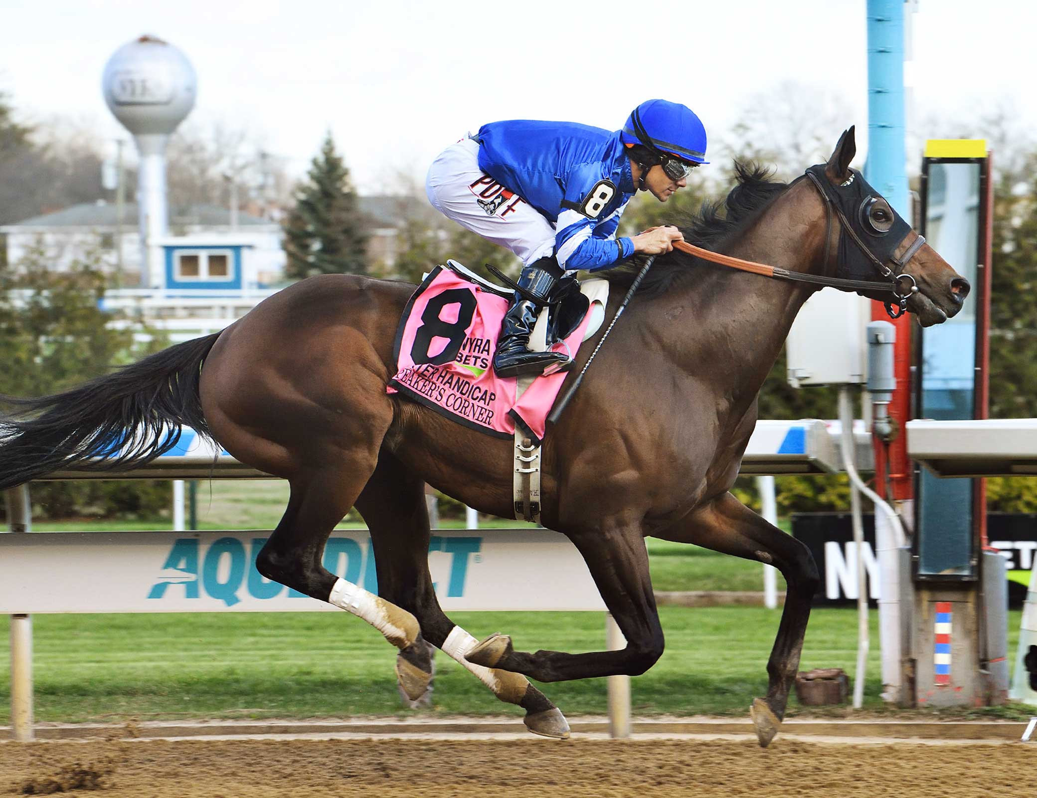 Darley America announces fees for 2023 America